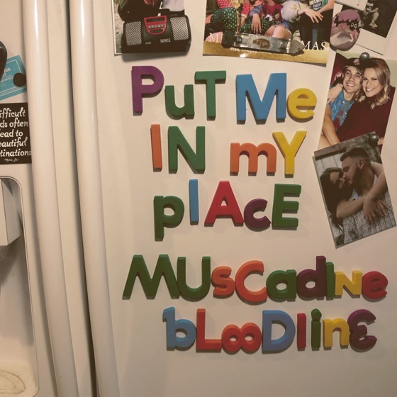 Cover artwork for Put Me in My Place