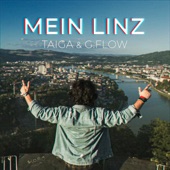Mein Linz (feat. Grandmaster Flow) artwork