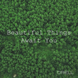 Beautiful Things Await You Drell