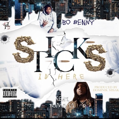 Sticks In Here (feat. Romo11) - Single