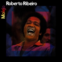 Roberto Ribeiro