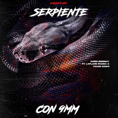 Serpiente Con 9mm (feat. Young Darhi & Laflare Pazzia) - Single