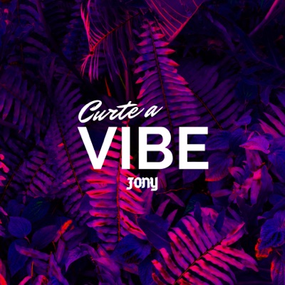 Curte a Vibe (feat. sart) - Single