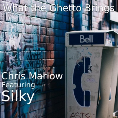 What the Ghetto Brings (feat. Silky) - Single