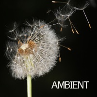 Ambient - Ambient Music and Ambient Sounds for Relaxation Meditation, Spa, Massage and Yoga - Ambient