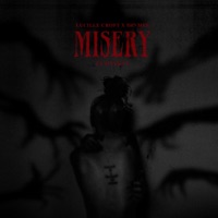 Misery (feat. TINYKVT) - Single - Lucille Croft & BRVMES