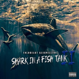 S Class Music Coldheart Kashmillion