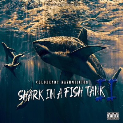 Shark in a Fish Tank 2