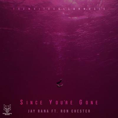 Since You're Gone (feat. Ron Chester) - Single