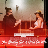 You Really Got a Hold on Me song art