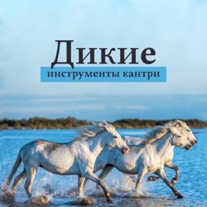 Дикие инструменты кантри: Традиционная музыка Запада, Римичное и позитивное кантри 2019, Танцы
