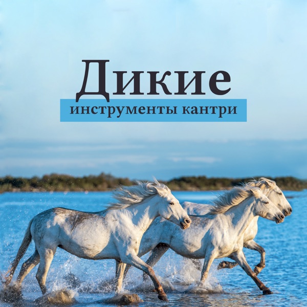 Дикие инструменты кантри: Традиционная музыка Запада, Римичное и позитивное кантри 2019, Танцы