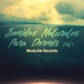 Sonido relajante río artwork