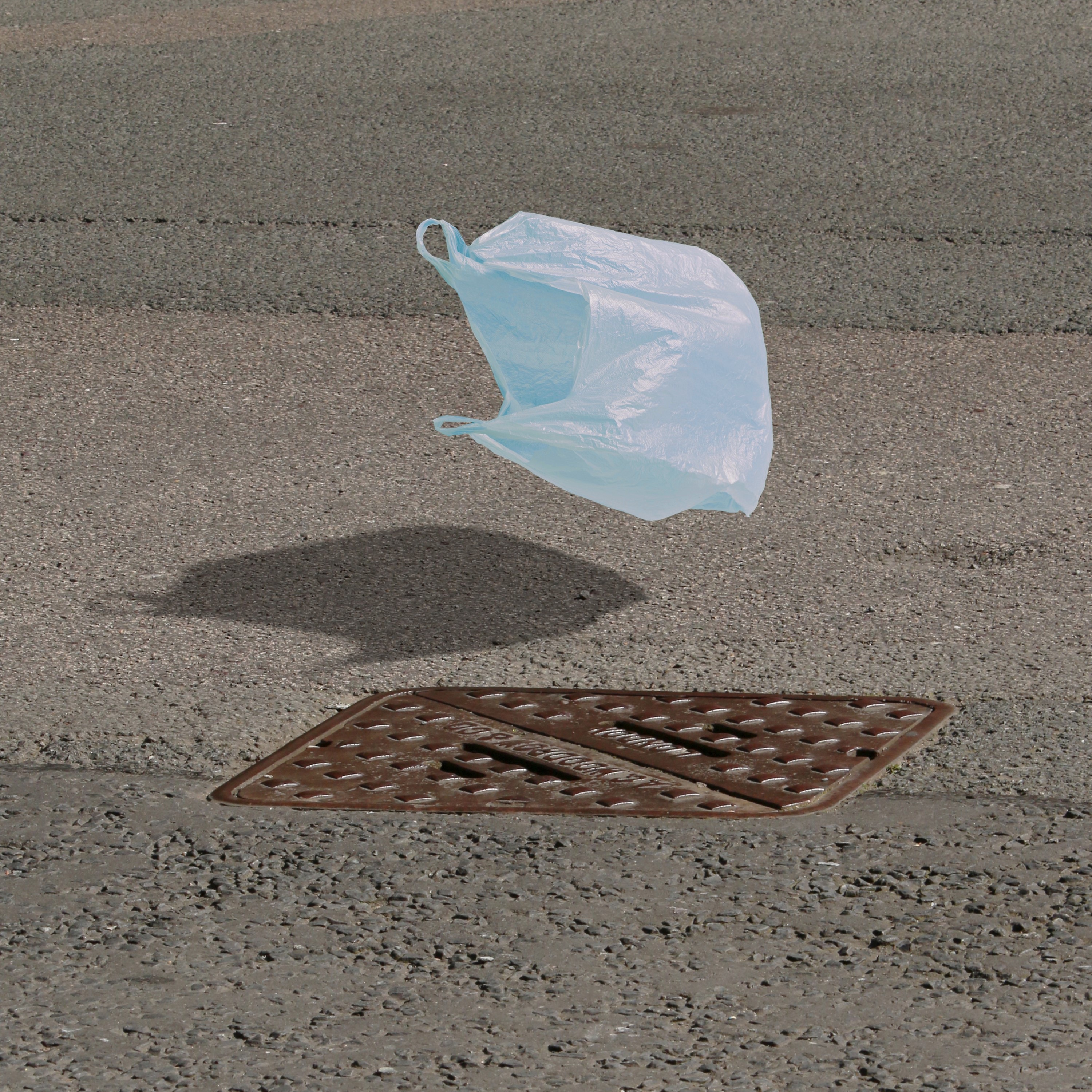 blatt im wind - Single