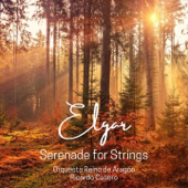 Serenade for Strings in E Minor, Op. 20: I. Allegro piacevole song art