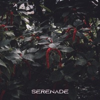 Serenade - Single - Atheo