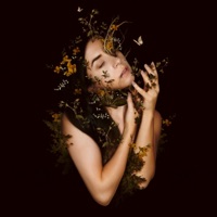 Lay Low (Pollinate) - Single - Roniit