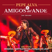 Pepe Alva & Amigos del Ande, 2da Edición (En Vivo) artwork