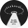 Ellen Allien