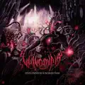 Superluminal Wormhole Divulgation
