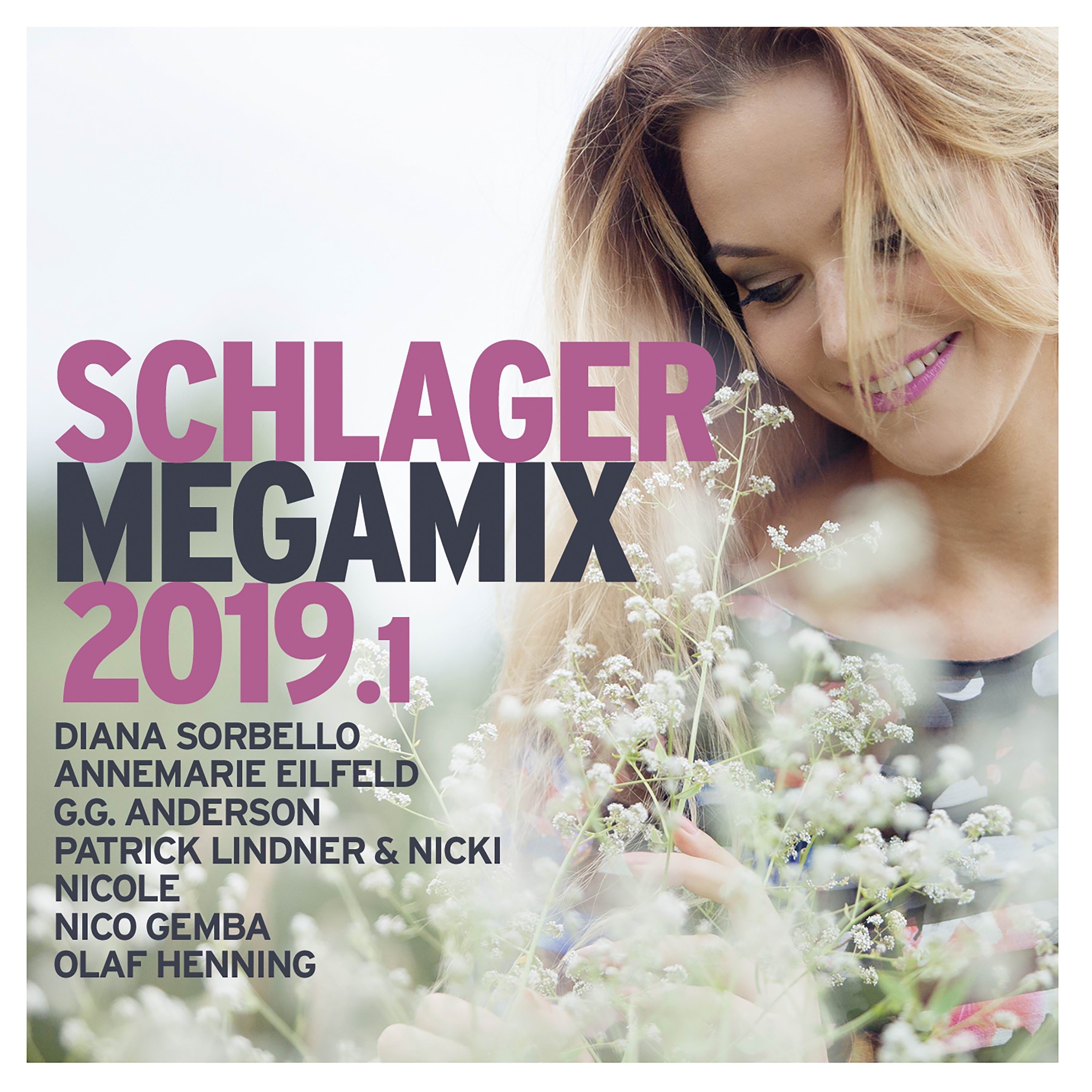 Schlager Megamix 2019.1