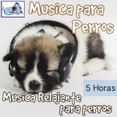 Música para Perros - 5 Horas Música Relajante Para Perros artwork