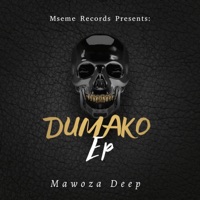 Ngeke Ngvume (feat. Royal D) - Single - Mawoza Deep
