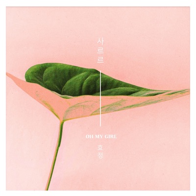사르르-thumbnail