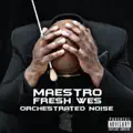 Maestro Fresh Wes