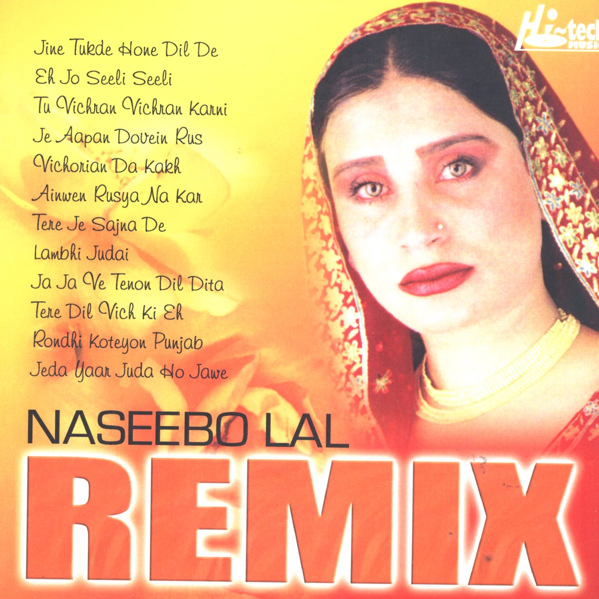 Naseebo Lal Remix - Album by Naseebo Lal - Apple Music