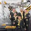 Los Huaches de Tierra Caliente