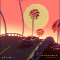 Moonlight Samba - Single - oksami