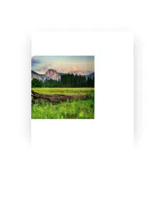 聆聽 Eucalypta Holroyd、觀看音樂影片、閱讀小傳、查看巡演日期等！