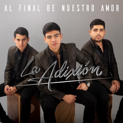 Al Final de Nuestro Amor - Single
