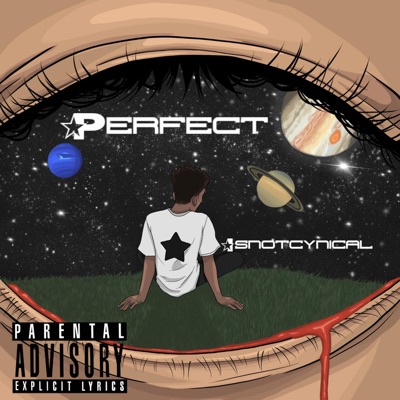 Perfect - Single