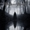 Arcanum - Adrian von Ziegler lyrics