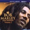 Chances Are - Bob Marley lyrics