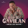 Llegó El Gavilán