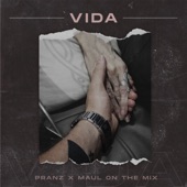 Vida artwork