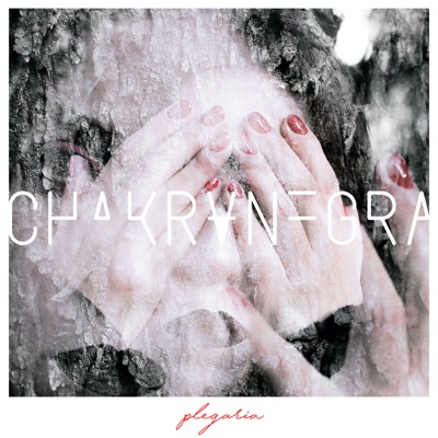 Plegaria - Single