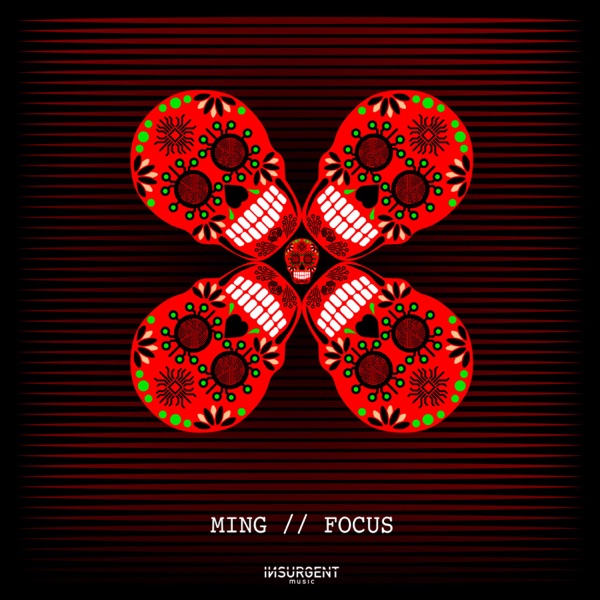 Focus