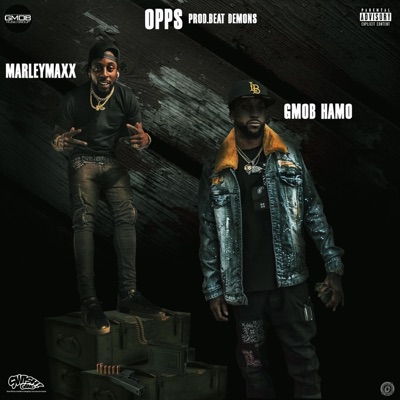 OPPS (feat. MarleyMaxx) - Single