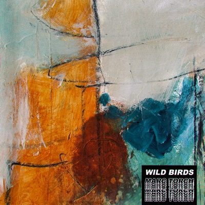 Wild Birds - Single