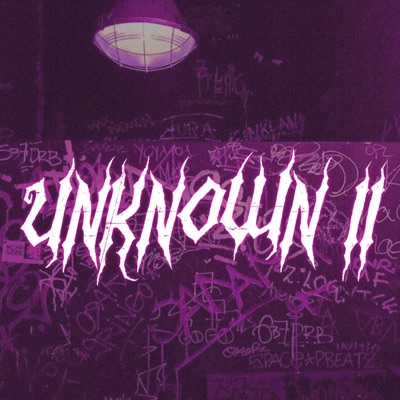 Unknown 2