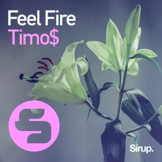 Feel Fire - Single by Timo$ album reviews, ratings, credits