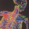 Oh My Freestyle - Yung SpaceGhost lyrics