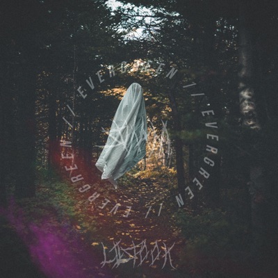 Evergreen (feat. Svnam) - Single