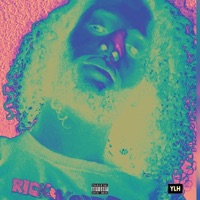 Stylist - Single - Young Lit Hippy