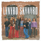 Simple Man - Lynyrd Skynyrd Cover Art