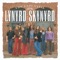 Four Walls of Raiford - Lynyrd Skynyrd lyrics